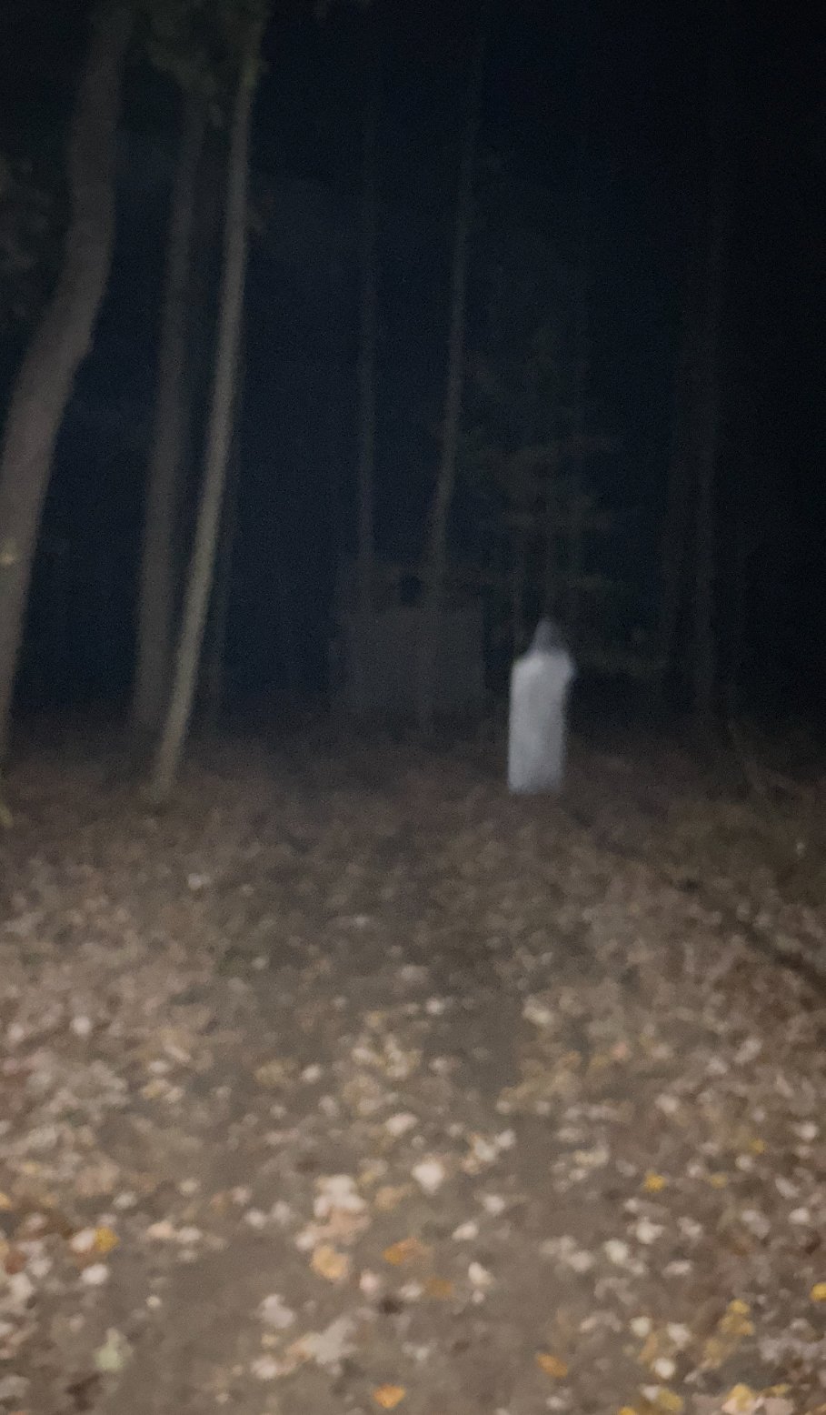 Ghost hunt photograph showing a white figure deeper in the woods