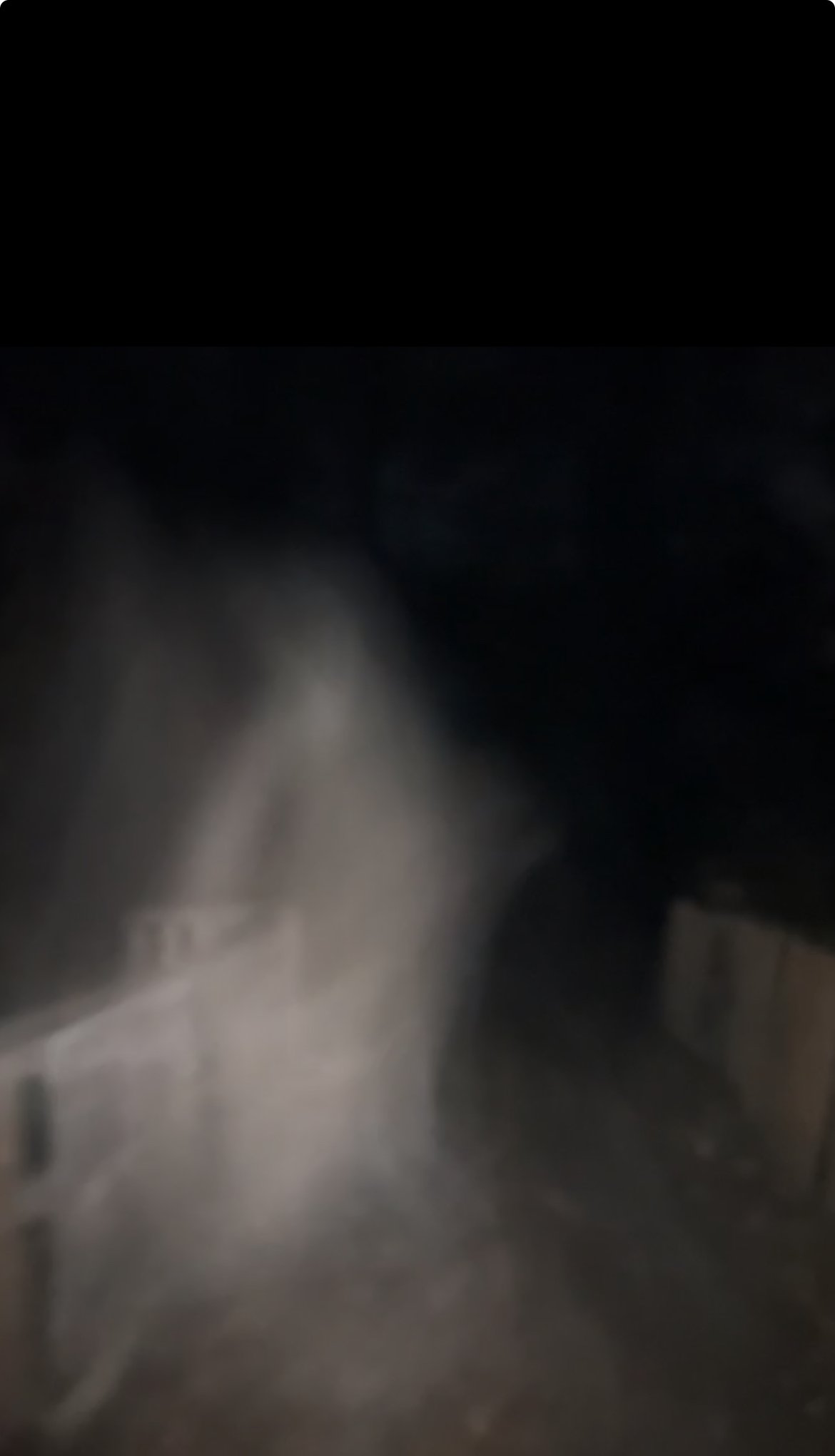 An unexplained white figure photographed at the way into the woods